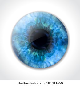 Blue eye pupil macro. Vector illustration