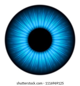 Blue Eye Texture 3d Modeling Stock Vector (Royalty Free) 1116969125