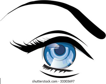 Blue eye vector illustration isolated. 