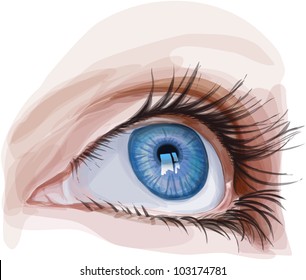 blue eye young girl - vector illustration / eps10