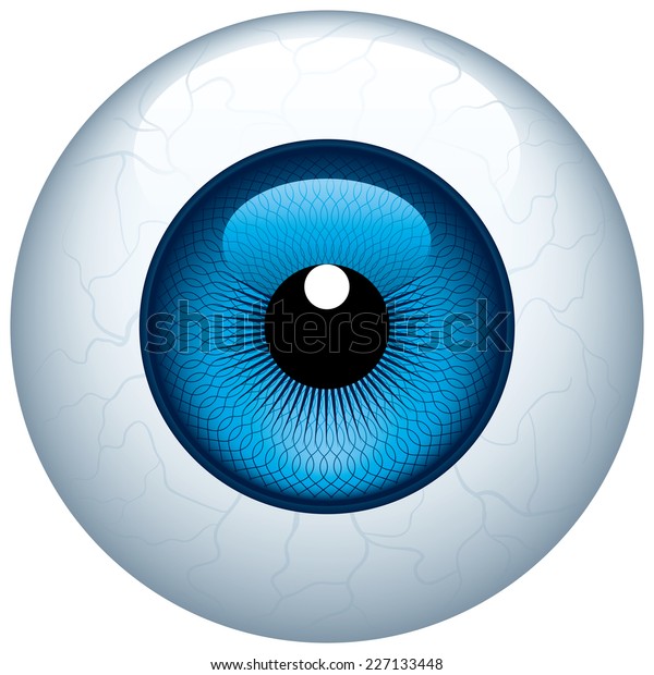 Blue Eyeball Isolated On White Eps8 Stock Vector (Royalty Free) 227133448