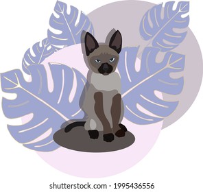 Blue eyed Siamese kitten looks on your. Cute cat with exotic blue leaves on background. Cartoon baby animal illustration.