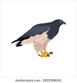 Blue falcon bird standing in side view, featuring a clean cartoon realistic style with simplified details and natural posture. This raptor illustration is suitable for wildlife, bird, nature, education, and decorative design projects.