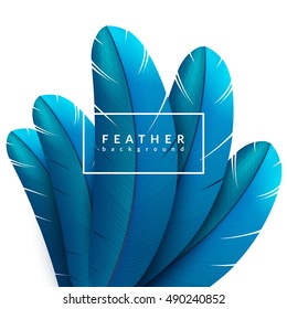 Blue feather background. Exotic bird feathers composition. Eps10 vector illustration.