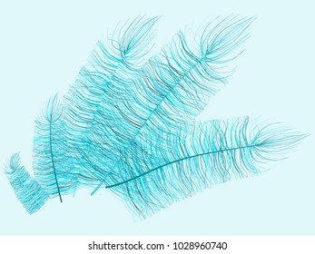 Blue Feather Floating. Beautiful Hand Drawn Fluff. Feathers Isolated for Wallpaper, Illustration, Carnival, Masquerade, Invitation, Textile. Decoration Element for Your Design.