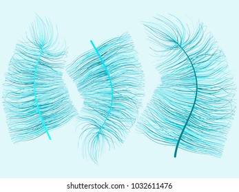 Blue Feather Floating. Beautiful Hand Drawn Fluff. Feathers Isolated for Wallpaper, Illustration, Carnival, Masquerade, Invitation, Textile. Decoration Element for Your Design.