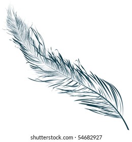 Blue Feather, Hand Drawn Object Against White