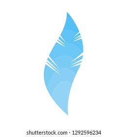 Blue feather isolated. Bird smooth fluffy, Quill soft. 
