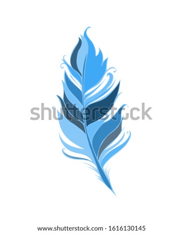 Blue Feather isolated on white background. Vector illustration. 