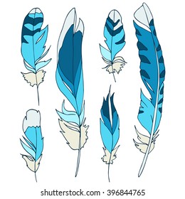 Blue feather set. Set of color images.
