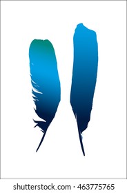 blue feathers