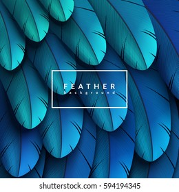 Blue feathers background. Eps10 vector illustration.