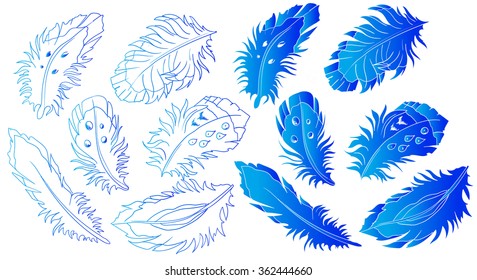 Blue feathers logo collection