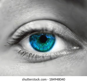 Blue female eye macro. Vector