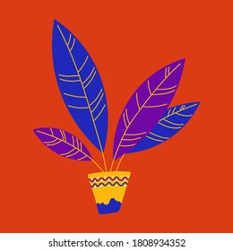 Blue ficus flower on red background