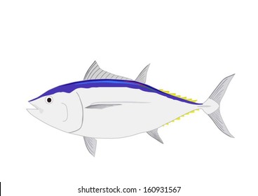 Blue fin tuna on white background 