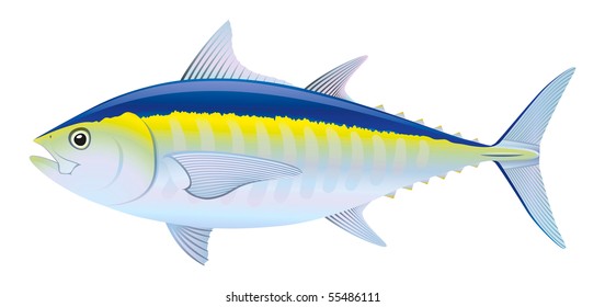 Blue fin Tuna (Thunnus thynnus) saltwater fish. "Full compatible. Created with gradients."