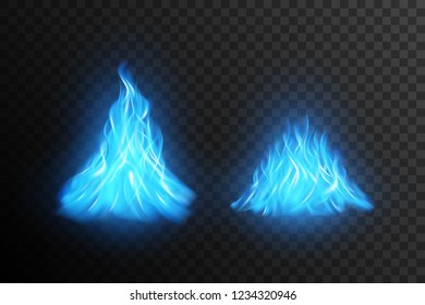 Blue fire flame vector.