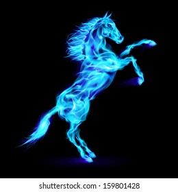 Blue fire horse rearing up. Illustration on black background.