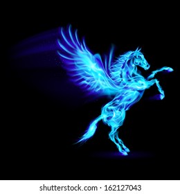 Blue fire Pegasus rearing up. Illustration on black background