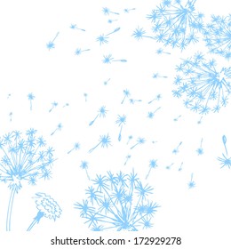 blue fireworks