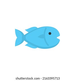 blue fish icon design template vector illustration