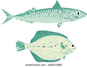 Blue fish on white background, vector illustrations