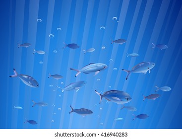 Blue fish pack underwater