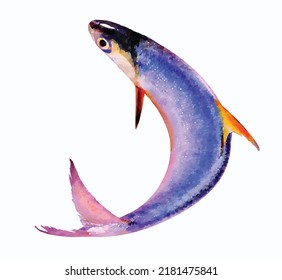 Blue fish vector isolated on white background Marine art for greeting cards or logo design Cartoon nautical clipart Oceanic wildlife vector illustration