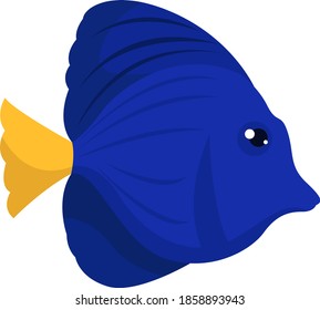 Blue fish with yellow tail, illustration, vector on white background