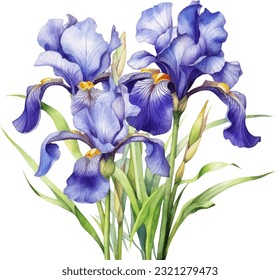 Blue Flag, IrisBlue Flag_Iris Watercolor illustration. Hand drawn underwater element design. Artistic vector marine design element. Illustration for greeting cards, printing and other design projects. svg