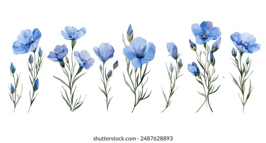 Blue flax flowers isolated on white vector collection. Plant for making medicine and linen fabric. Flax flowers isolated with blue buds and green leaves.