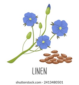 Blue flax flowers and flax seeds on a white background. Linen. Illustration, vector