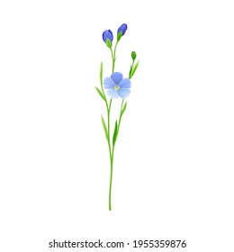 Blue Flax or Linseed Flowers with Five Petals as Cultivated Flowering Plant Specie Vector Illustration