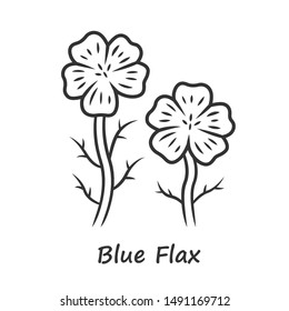 Blue flax plant linear icon. Thin line illustration. Linen wild flower with name inscription. Spring blossom. Blooming linum wildflower inflorescence. Contour symbol. Vector isolated outline drawing