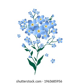 Ilustración floral azul con olvido-me-no sobre fondo blanco. Clipart botánico floreciente aislado.
