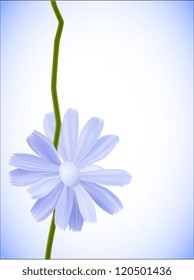 blue flower
