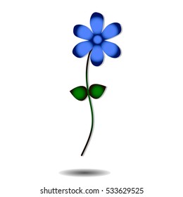 blue  flower