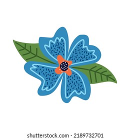 blue flower garden decoration nature