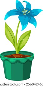 Blue flower in a green pot without background