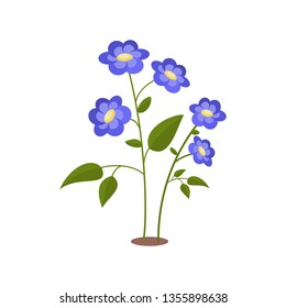 blue flower. Isolated vector illustration