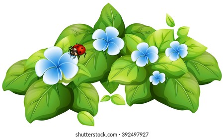 Ilustración de flor azul y picadillo