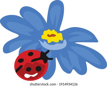 Blue flower with little ladybird