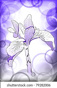 blue flower on the background