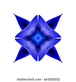 blue flower on a white background
