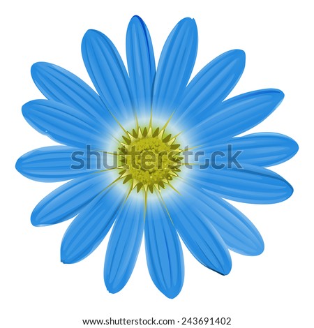 Similar – Image, Stock Photo White Flowers Environment