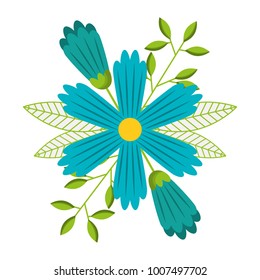 blue flower petals leaves nature decoration