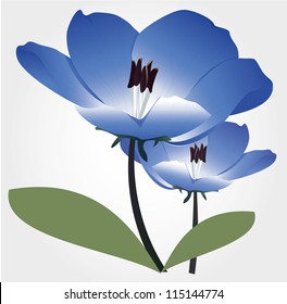 blue flower vector