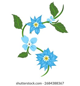blue flower vector illustration with leaves