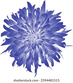 A blue flower with a white background. The flower is very large and has a lot of detail